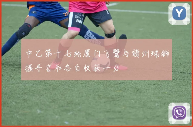 中乙第十七轮厦门飞鹭与赣州瑞狮握手言和各自收获一分