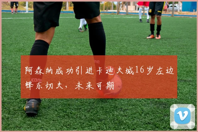 阿森纳成功引进卡迪夫城16岁左边锋东切夫，未来可期